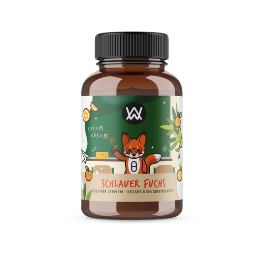 Schlauer Fuchs