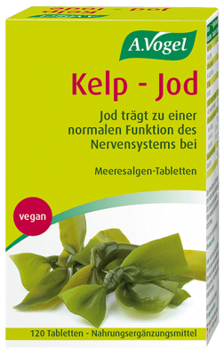 Kelp - Jod